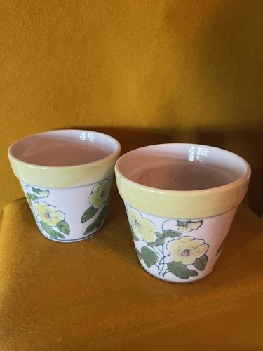 Planters flower pots - flower,